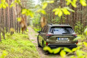 Subaru Forester 2025