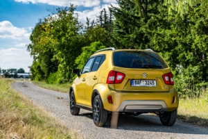 Suzuki Ignis 2020