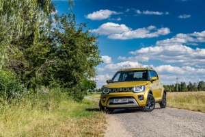 Suzuki Ignis 2020