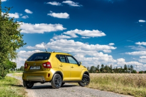 Suzuki Ignis 2020