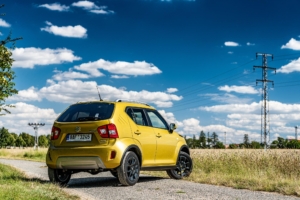 Suzuki Ignis 2020