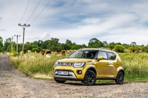 Suzuki Ignis 2020