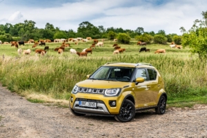 Suzuki Ignis 2020