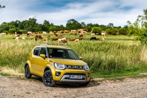 Suzuki Ignis 2020