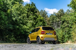 Suzuki Ignis 2020