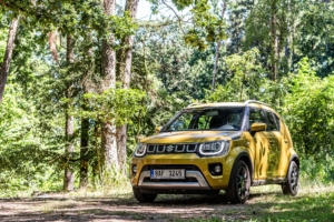 Suzuki Ignis 2020